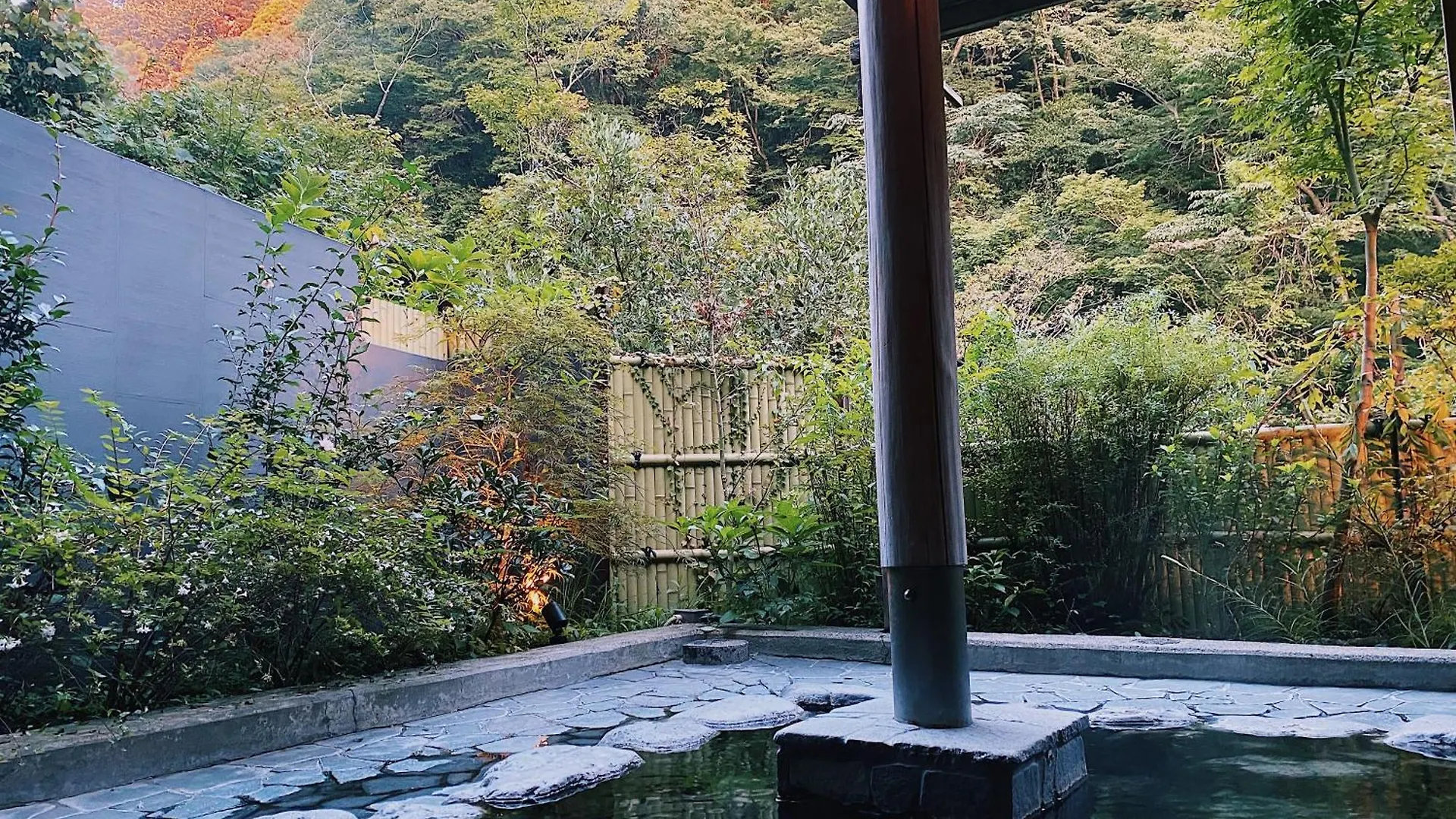 Onsen Guest House Tsutaya Hakone Japonya